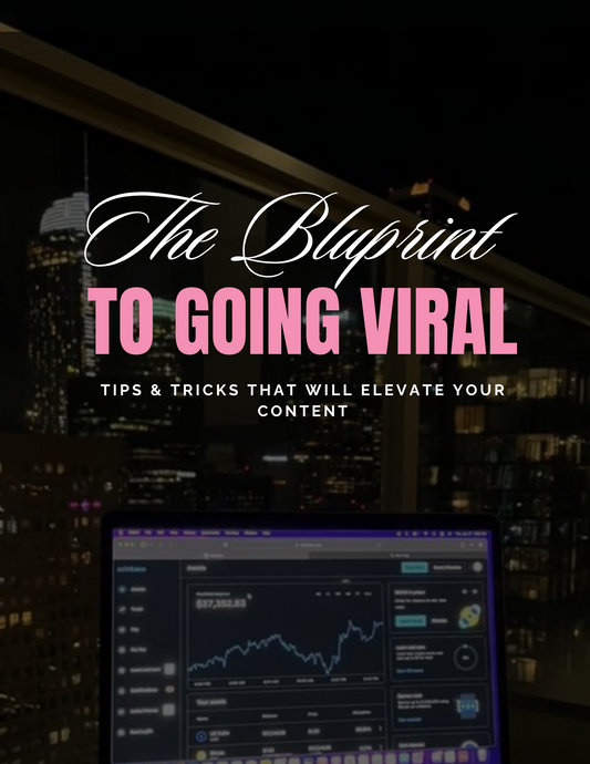 THE BLUEPRINT TO GOING VIRAL Growth Guide w/PLR